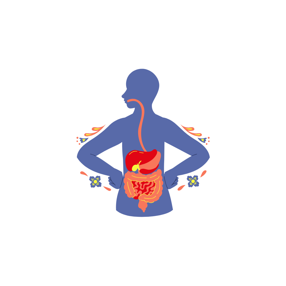 GUT & LIVER HEALTH - Anton Nutrition