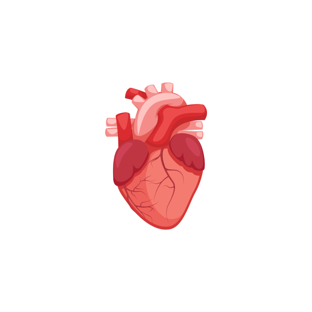 HEART HEALTH - Anton Nutrition