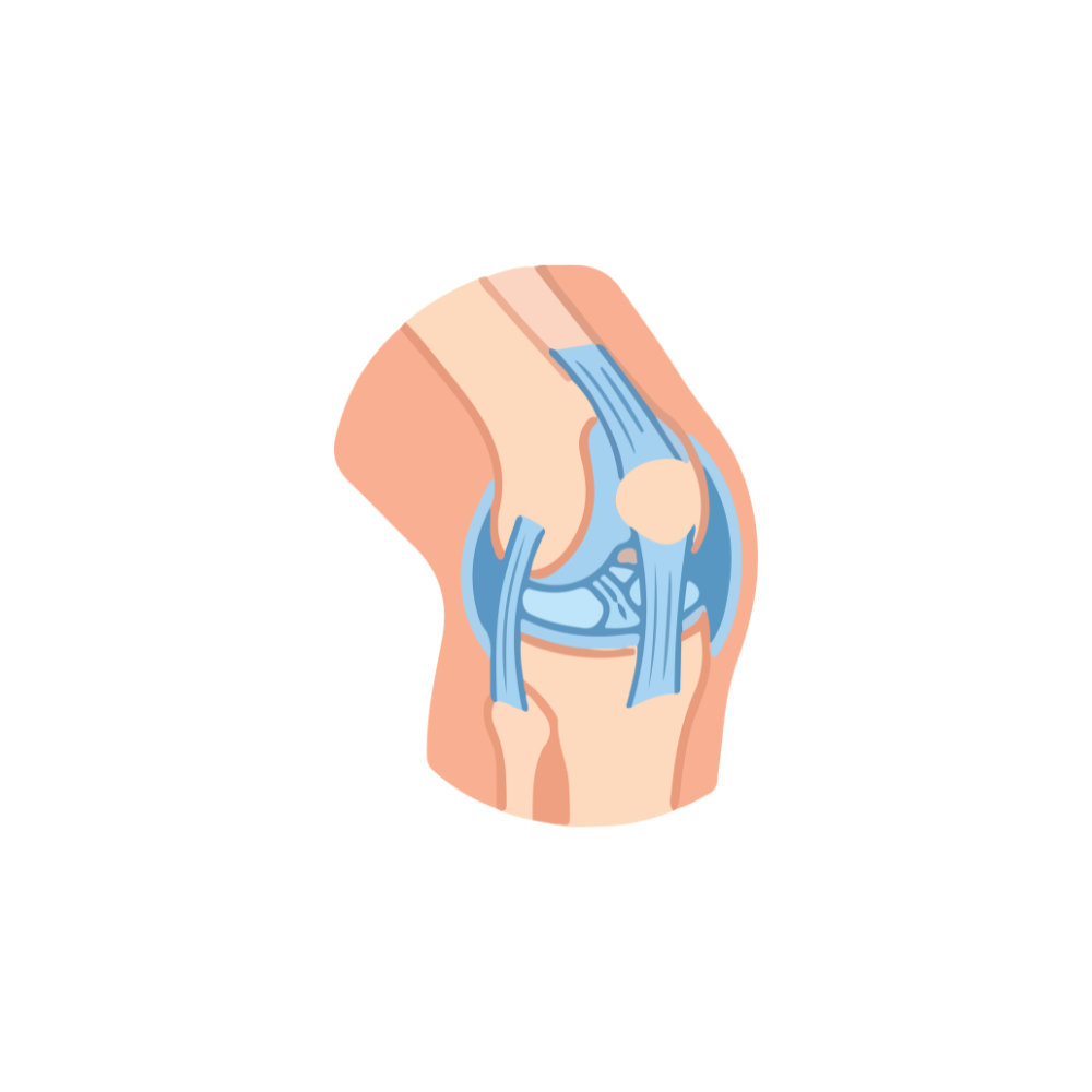 MUSCLES, BONES, & JOINTS - Anton Nutrition